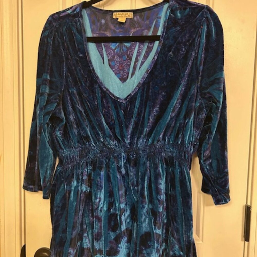 Energe World Wear Blue Velvety Top with Lovely Trim | Size 1X